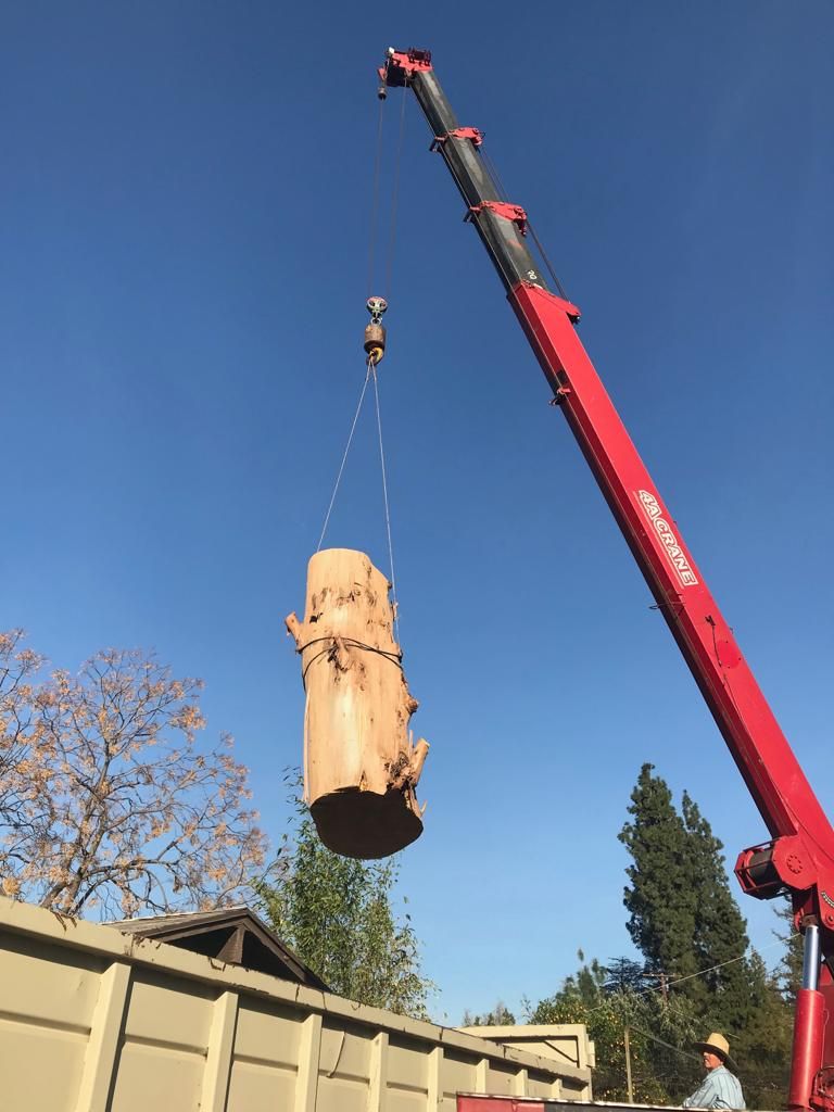 sld2 tree trimming